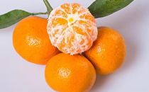 橘子为什么会苦 橘子没熟可以吃吗