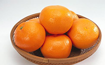 孕晚期吃橘子好吗 孕中晚期可以吃什么零食