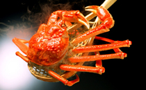 宝宝湿疹可以吃螃蟹吗 宝宝湿疹吃了螃蟹怎么办