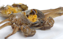 醉蟹用什么酒好 醉蟹适合用花雕酒还是黄酒