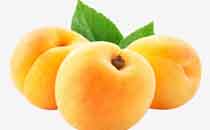 哺乳期可以吃黄桃吗 哺乳期吃黄桃要注意些什么