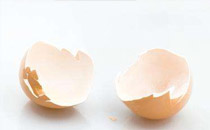 鸡蛋壳内膜去黑头有用吗 鸡蛋壳内膜去黑头会使毛孔变大吗
