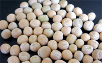 白豌豆的功效与作用 白豌豆怎么吃食用方法