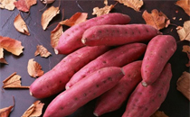 红薯什么季节成熟 红薯一般几月份上市