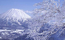 富士山什么时候去最好 ​十一去富士山哪里好玩