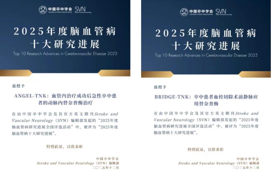 石药集团明复乐®两项重磅研究入选“2025年度脑血管病十大研究进展”	